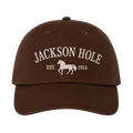 Jackson Hole Dad Hat
