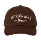 Jackson Hole Dad Hat