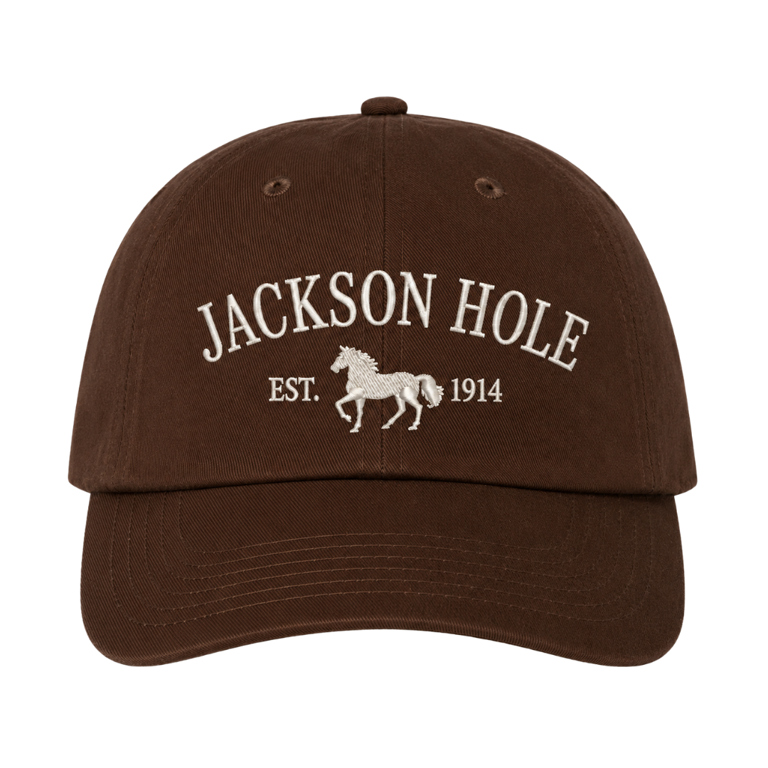 Jackson Hole Dad Hat